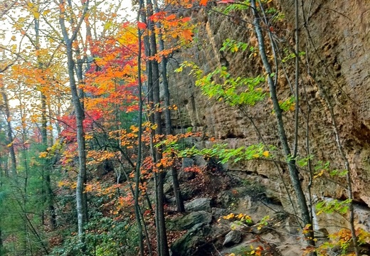 Natural Bridge State Park